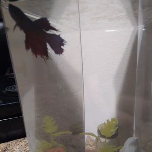 Meet your Posher, Kyli